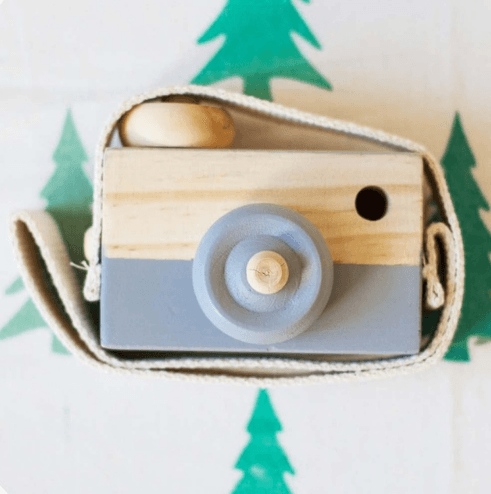 Cute Wooden Camera